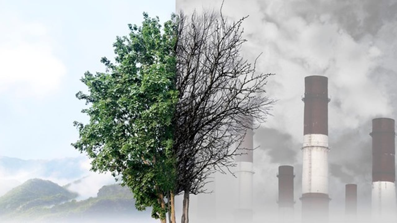 Foto - Diyarbakır'da meydana gelen sisli hava sessiz tehlike saçıyor uyarısı! Bakın nasıl, uzmanı duyurdu