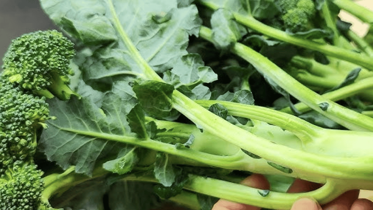 Foto - Diyet lifi açısından... Çöpe atılıyor, asıl vitamin sapında: Bağırsakları yağlıyor, şişliği indiriyor