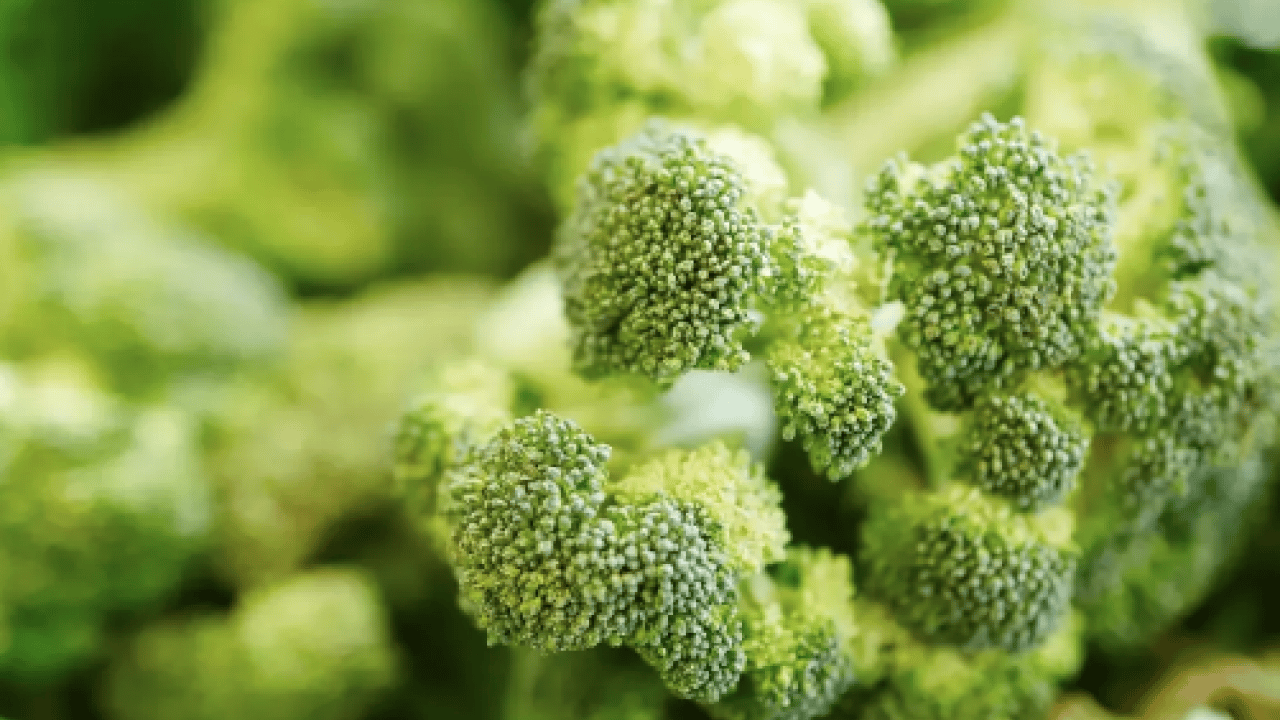 Foto - Diyet lifi açısından... Çöpe atılıyor, asıl vitamin sapında: Bağırsakları yağlıyor, şişliği indiriyor