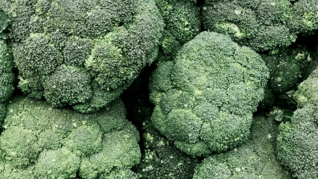 Foto - Diyet lifi açısından... Çöpe atılıyor, asıl vitamin sapında: Bağırsakları yağlıyor, şişliği indiriyor