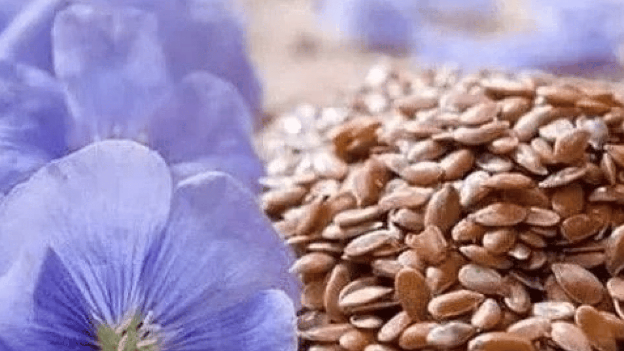 Foto - Diz ağrısına son: Yoğurda tek kaşık ilave edin, kemiklerinizi çelik gibi yapın!