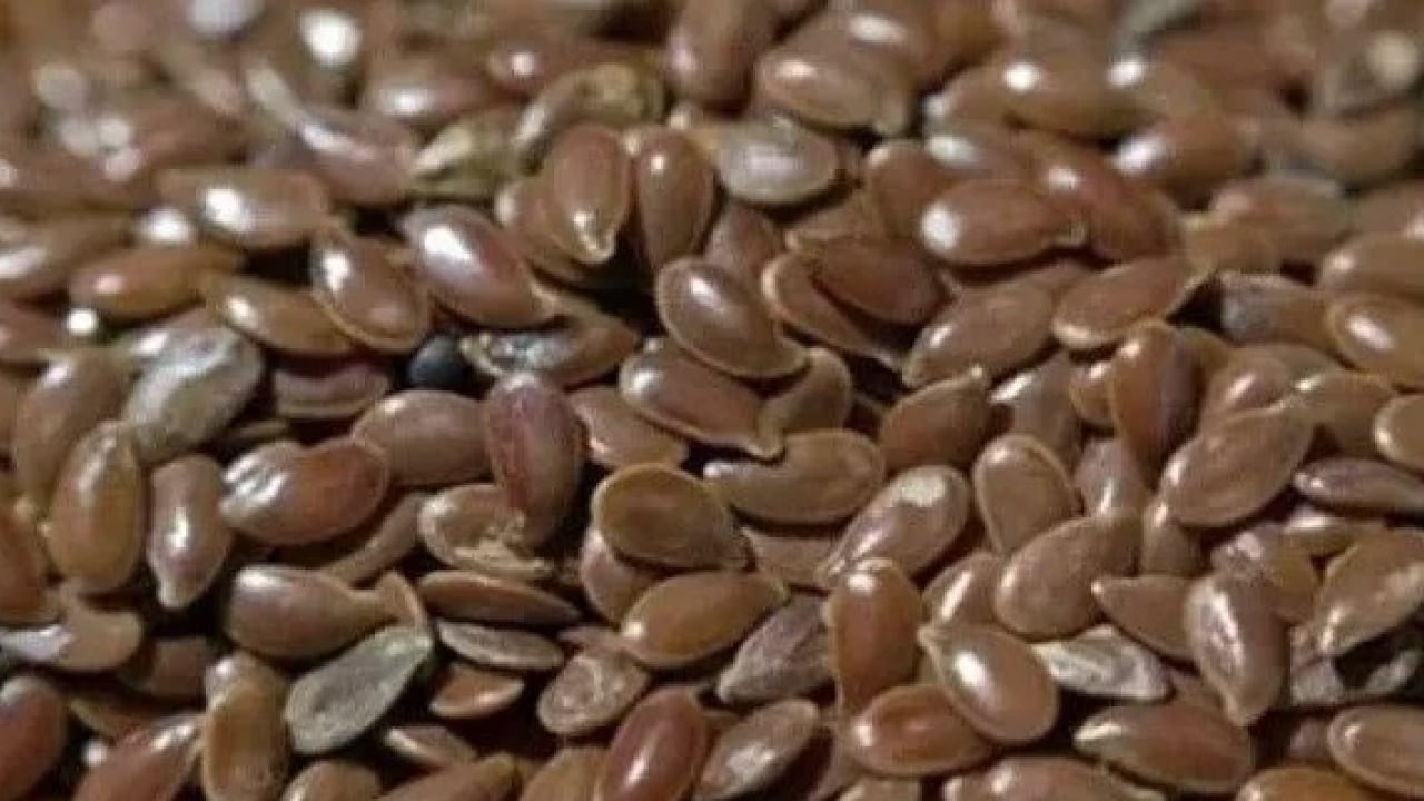 Foto - Diz ağrısına son: Yoğurda tek kaşık ilave edin, kemiklerinizi çelik gibi yapın!