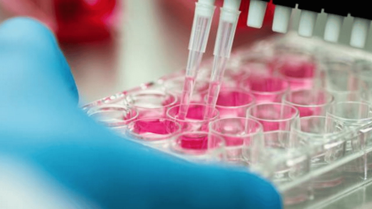 Foto - DNA analiziyle genetik yatkınlık araştırılıyor: Uzmanından 'Genetik Check-Up' uyarısı!