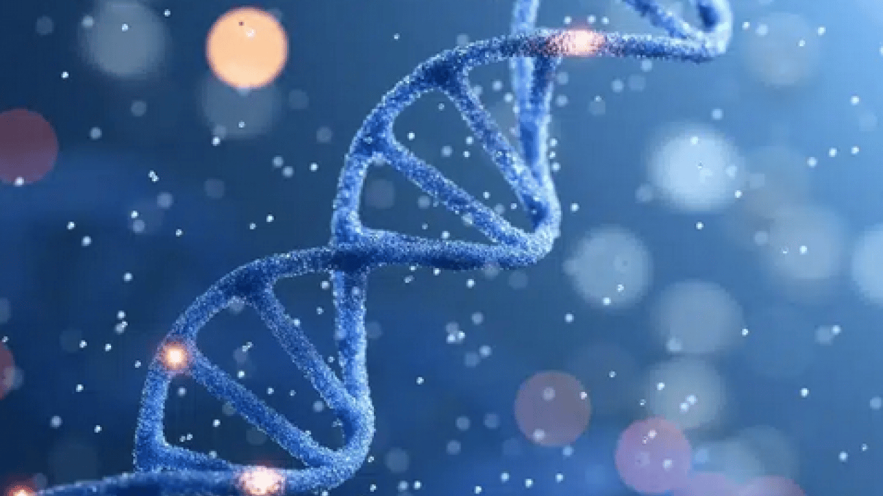 Foto - DNA analiziyle genetik yatkınlık araştırılıyor: Uzmanından 'Genetik Check-Up' uyarısı!