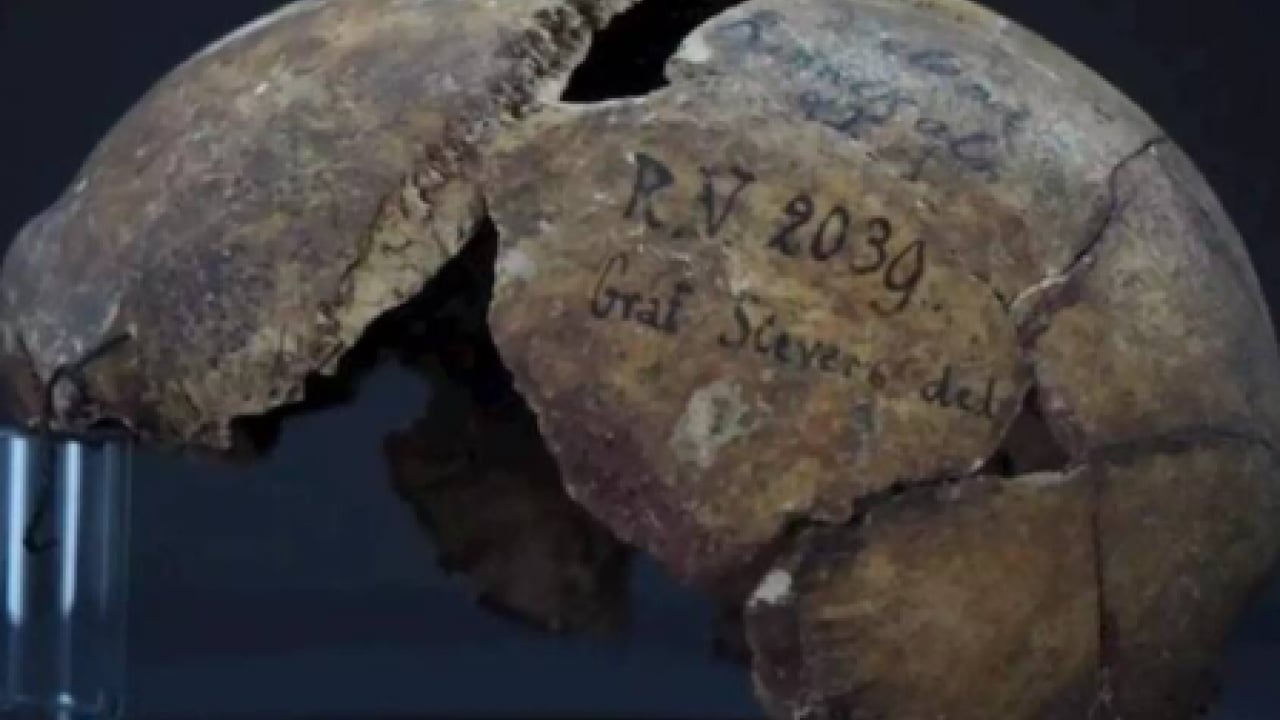 Foto - DNA örnekleri ezber bozdu: 5 bin 500 yıllık veba varyantı tespit edildi