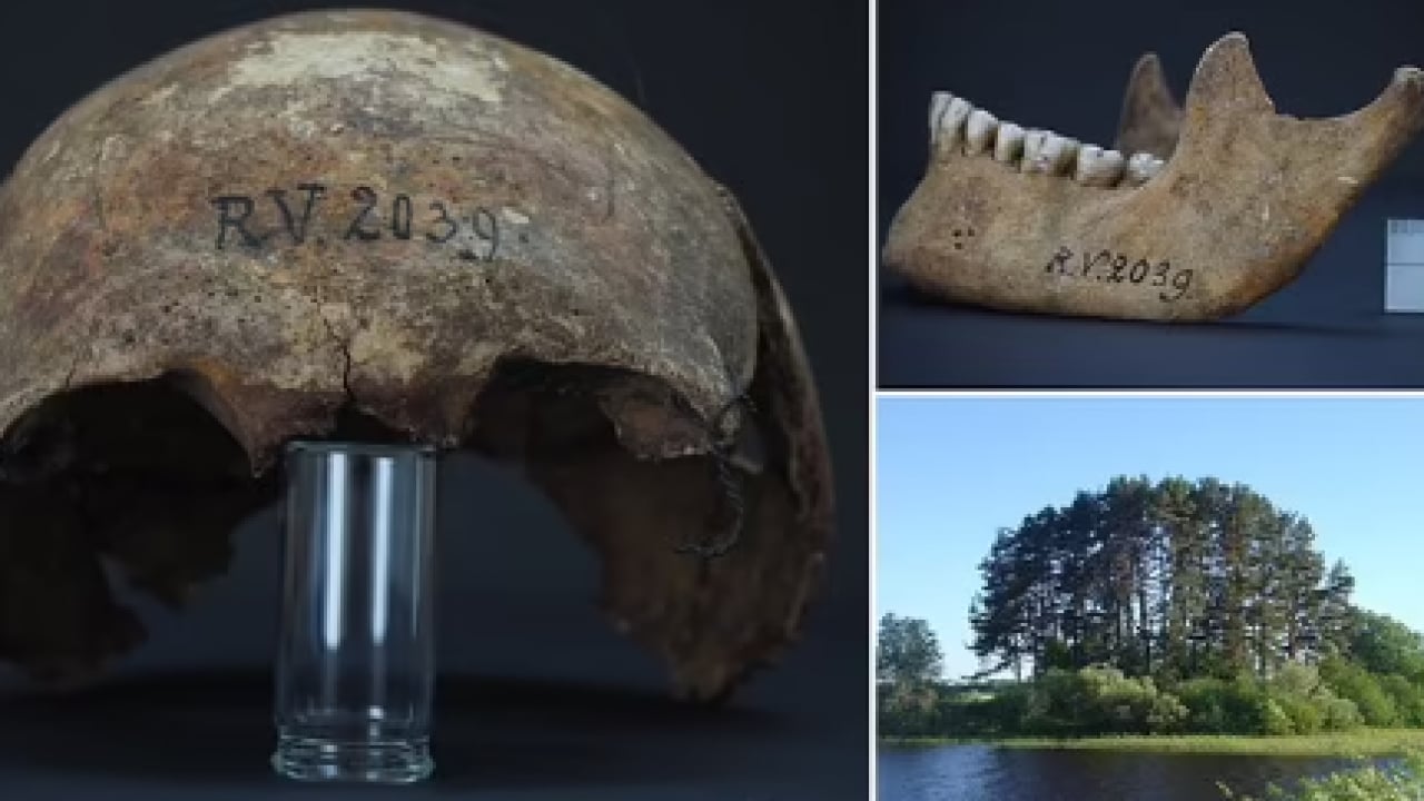 Foto - DNA örnekleri ezber bozdu: 5 bin 500 yıllık veba varyantı tespit edildi