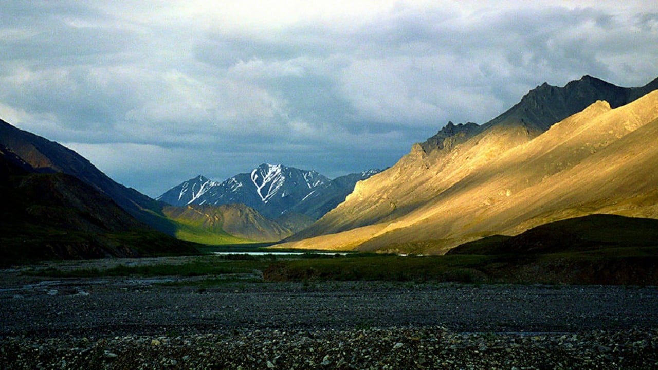 Foto - Doğa mı Petrol mu? Trump yönetimi Alaska Yaban Hayatı Sığınağı’nı sondaja açıyor