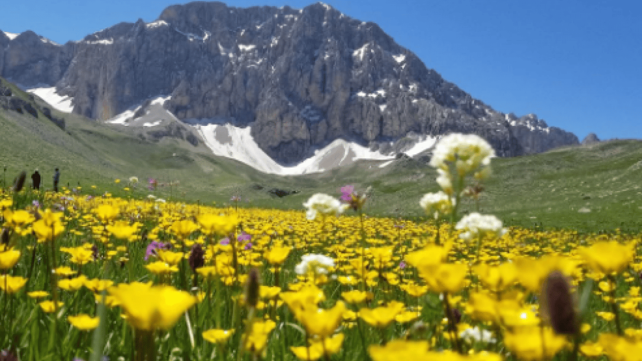 Foto - Doğa tutkunlarının yeni rotası Munzur Dağları