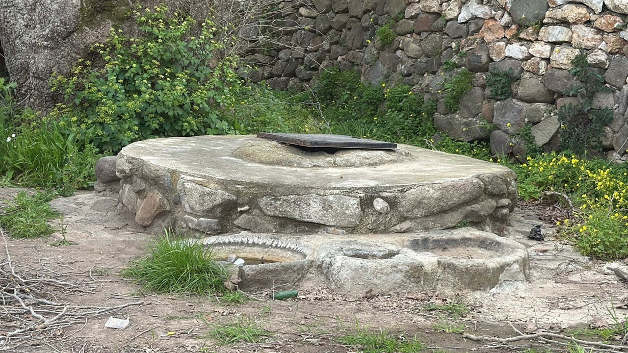 Foto - Doğa yürüyüşünde fark edildi! O ilimizde 2 bin yıllık çınar ağacı bulundu