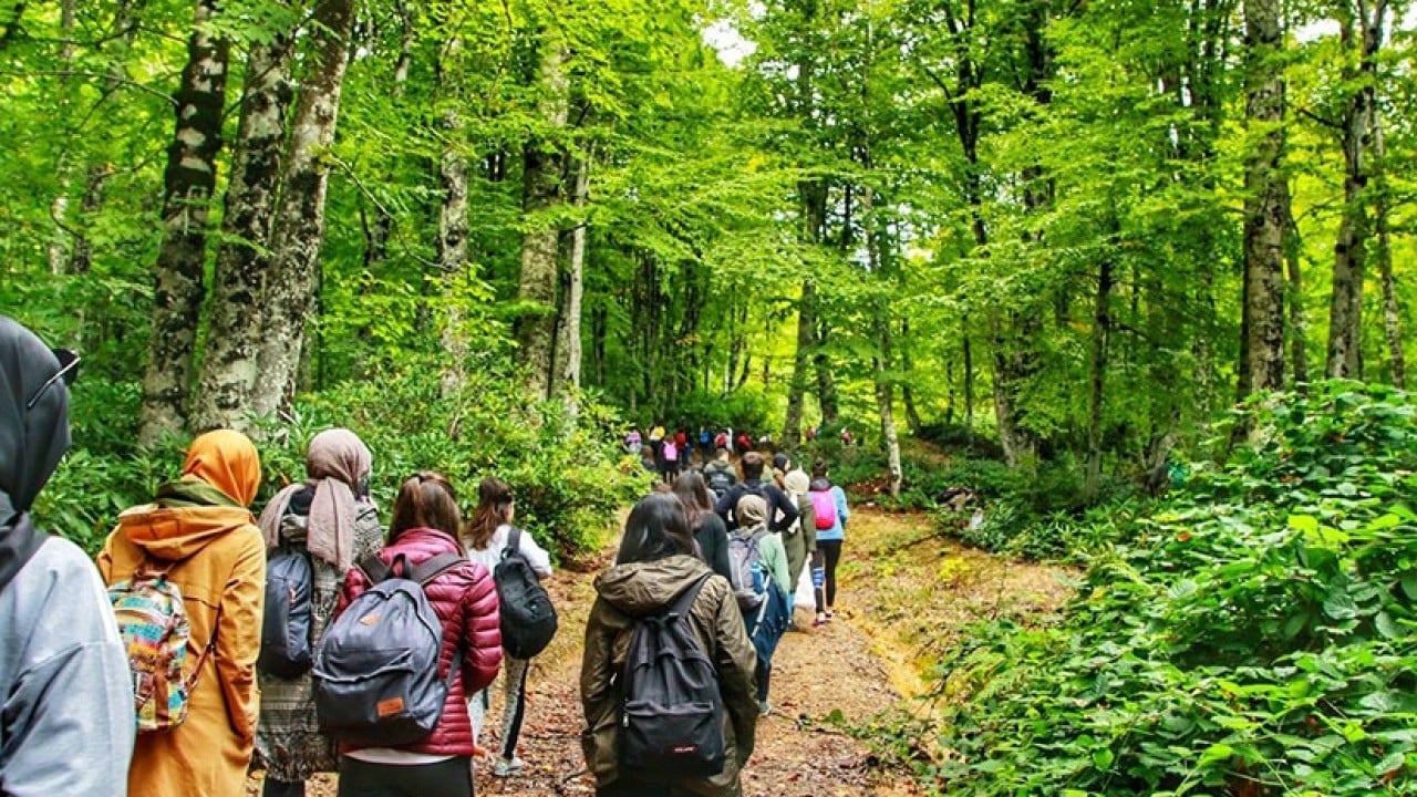 Foto - Doğada yürüyüş, zihnin doğal antidepresanı