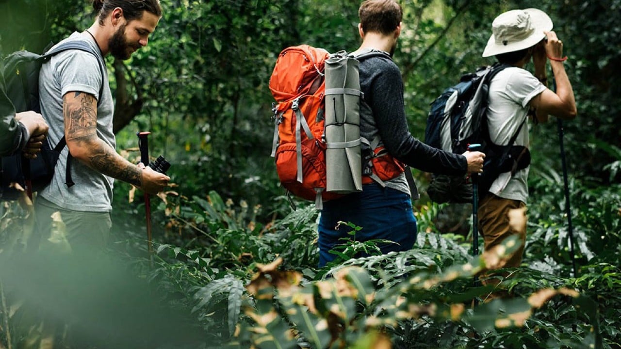 Foto - Doğada yürüyüş, zihnin doğal antidepresanı