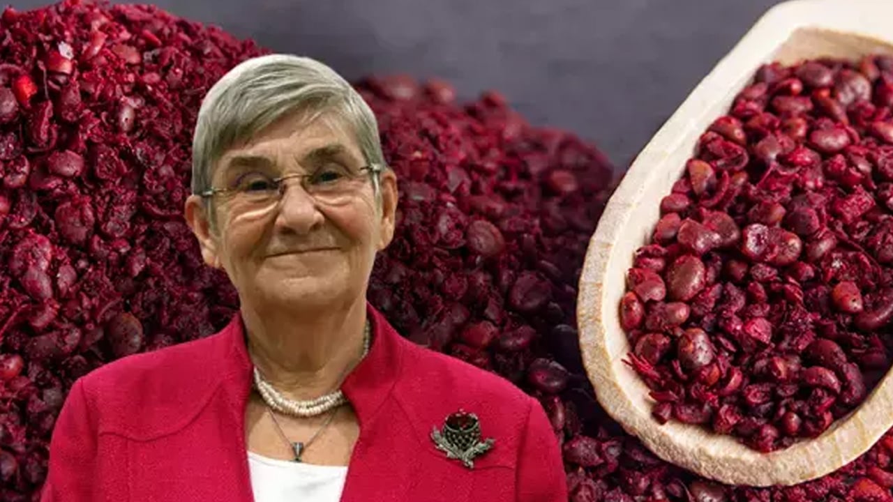 Foto - Doğal ağrı kesici! Canan Karatay'ın önerisi: Padişah baharatı olarak da biliniyor! 1 yemek kaşığını sıcak suya katıp içmek yetiyor