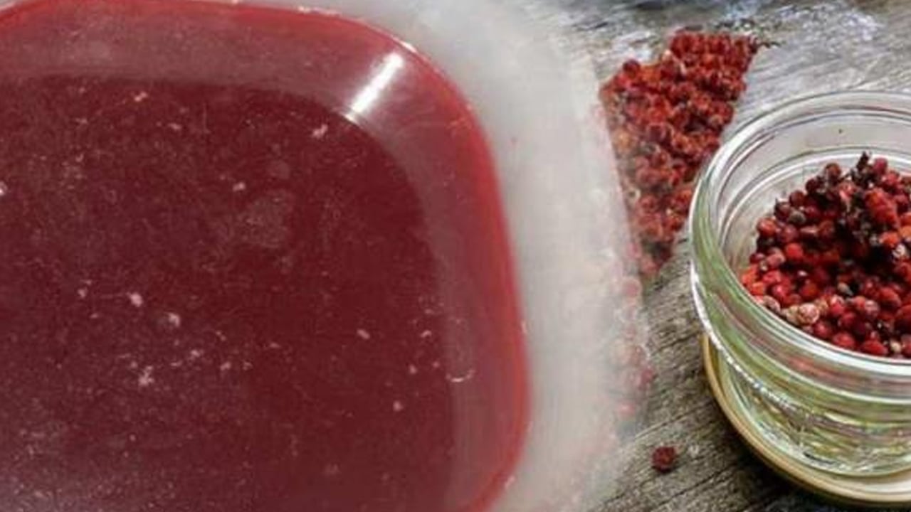 Foto - Doğal ağrı kesici! Canan Karatay'ın önerisi: Padişah baharatı olarak da biliniyor! 1 yemek kaşığını sıcak suya katıp içmek yetiyor