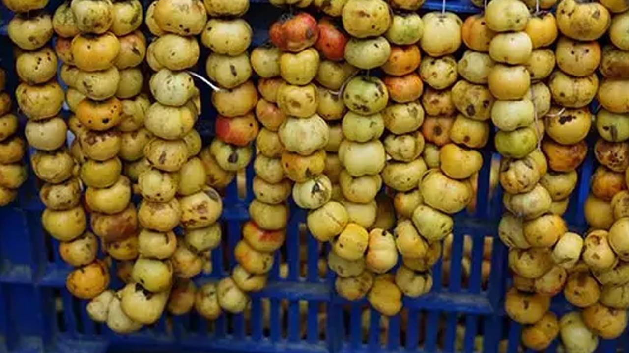 Foto - Doğal antioksidan kaynağı alıç meyvesine vatandaşlar ilgi gösteriyor: Vücudu adeta ilaç gibi koruyor 