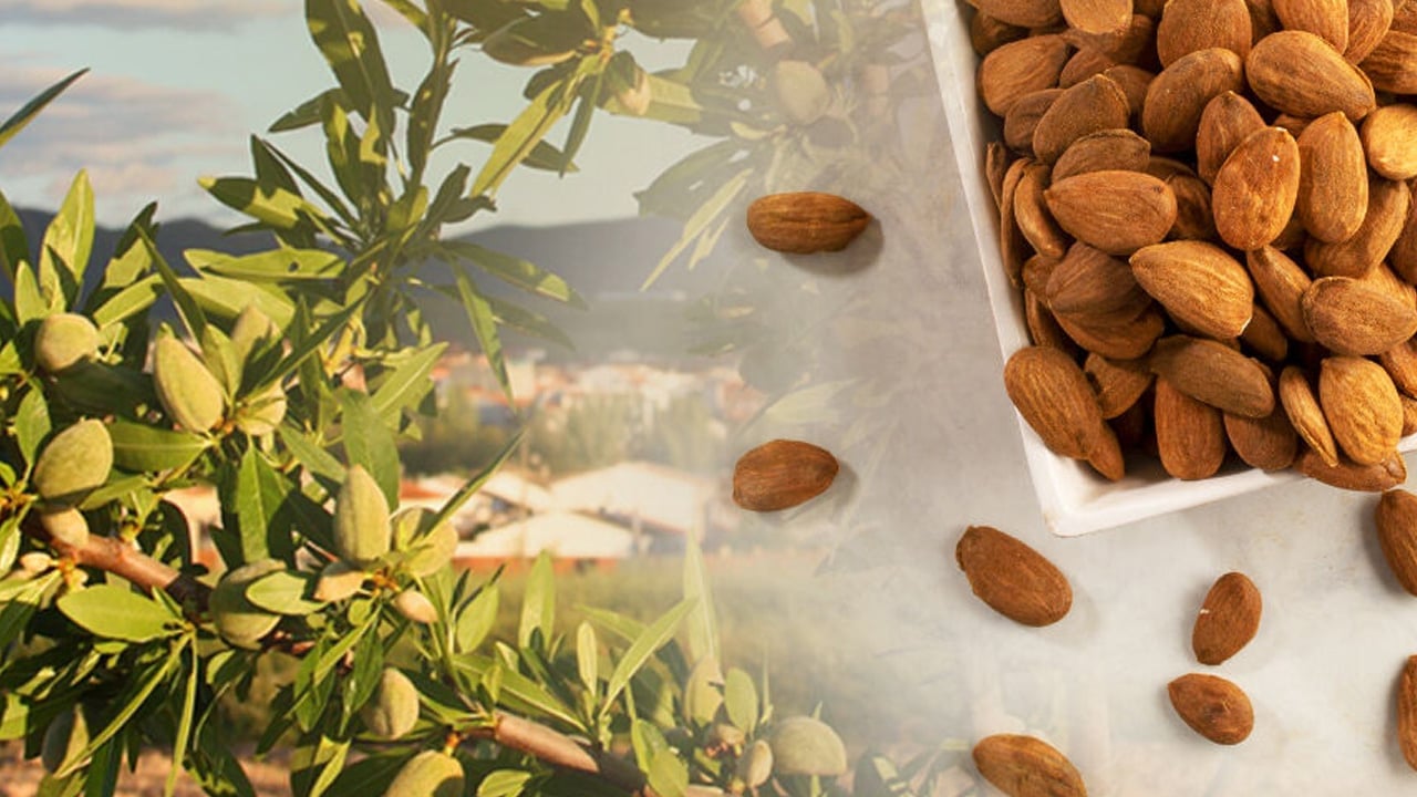 Foto - Doğal magnezyum içeren bitkisel ürünler: Uyku kalitesine doğrudan yardımcı olur! Listeyi gören inanamayacak 