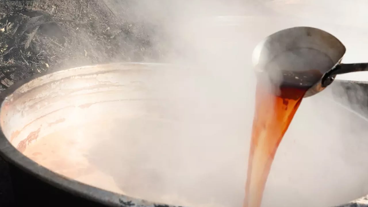 Foto - Doğal öksürük ilacı: Hasadı başladı bile! Kaynatıp için, boğaz enfeksiyonu temizliyor! Karaciğer yağlanmasına bunu yapın