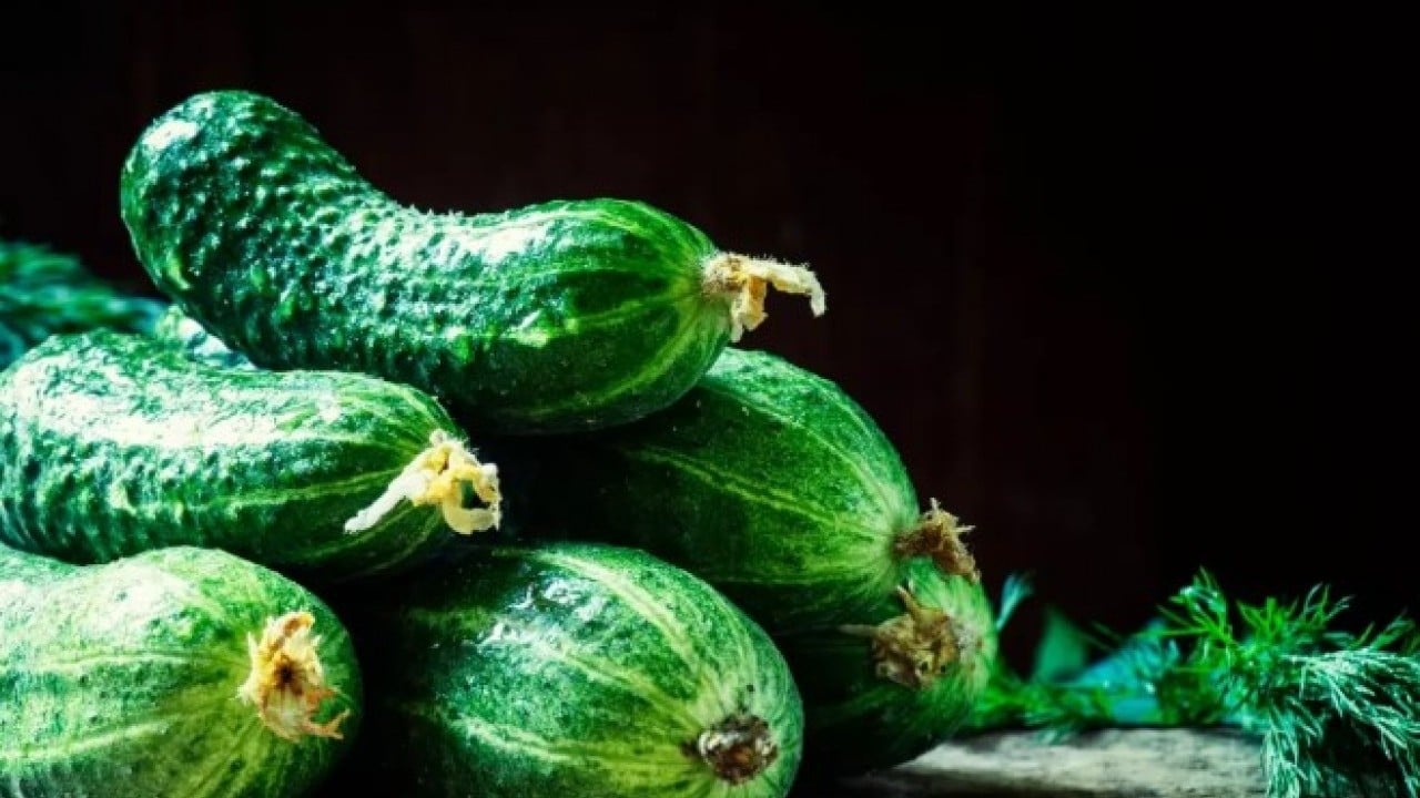 Foto - Doğal tansiyon dengeleyici: Haftada 2-3 kez tüketin etkiyi görün!