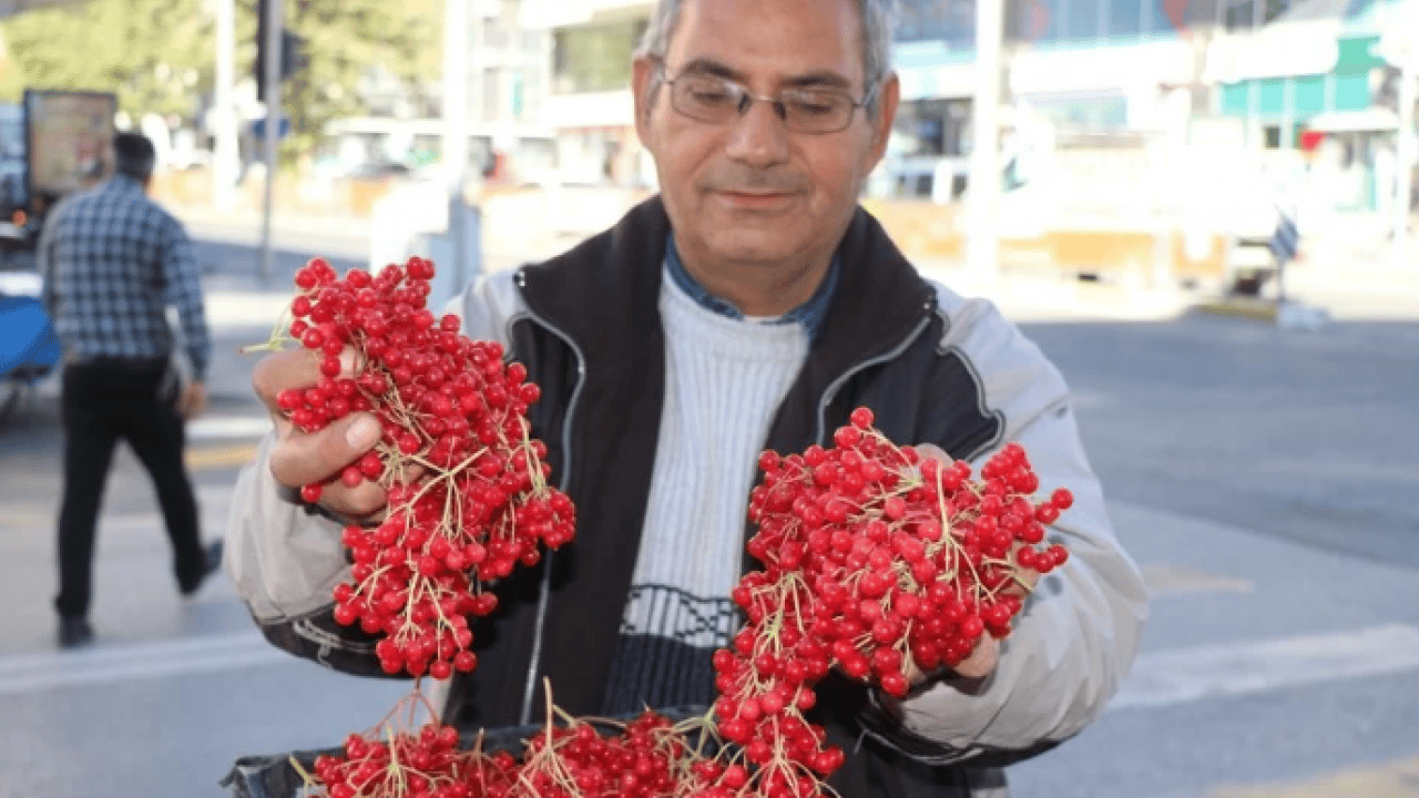 Foto - Doğal tedavi edici etkisi var! ‘Gençlik iksiri' yoğun talep görüyor