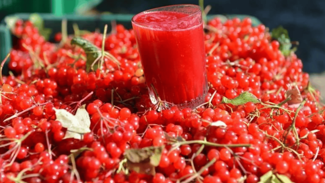 Foto - Doğal tedavi edici etkisi var! ‘Gençlik iksiri' yoğun talep görüyor