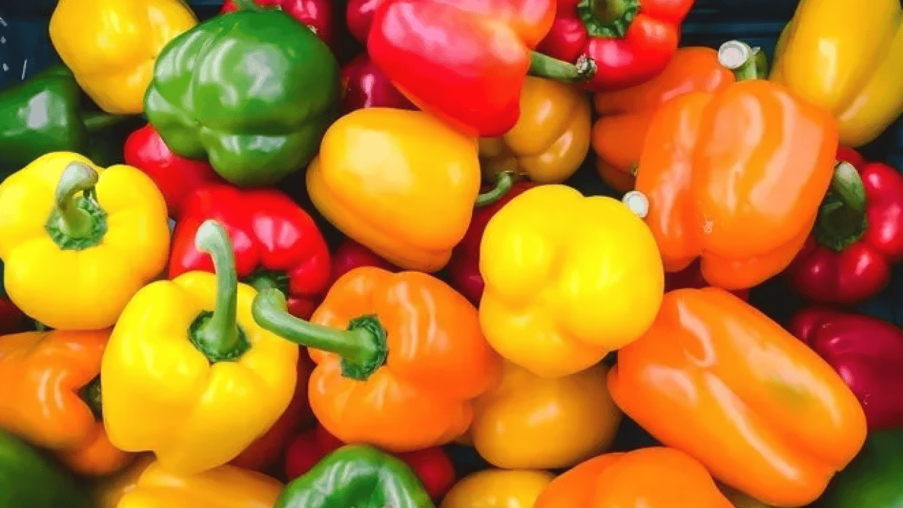 Foto - Doğanın gizli hazinesi: C vitaminiyle portakalı geride bırakıyor