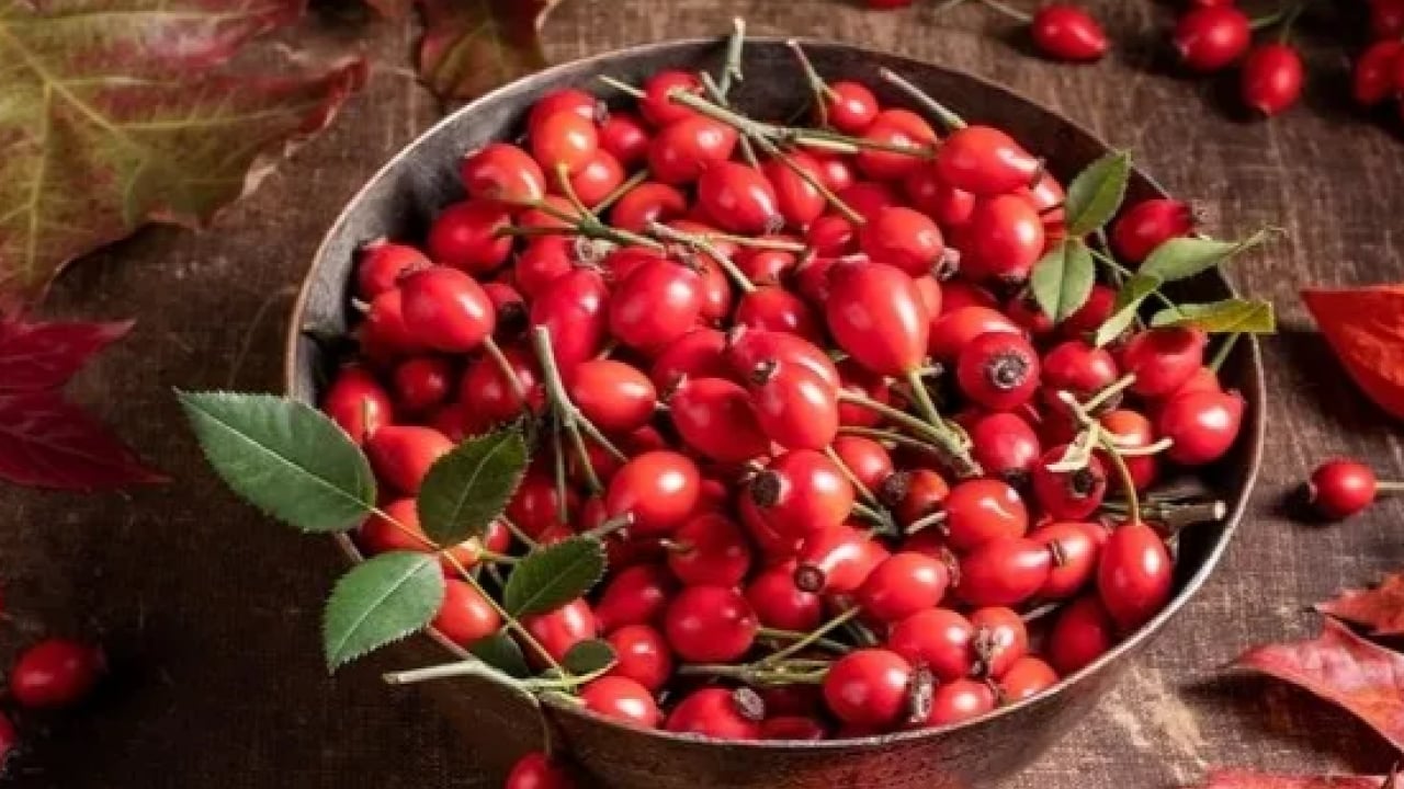 Foto - Doğanın gizli hazinesi: C vitaminiyle portakalı geride bırakıyor