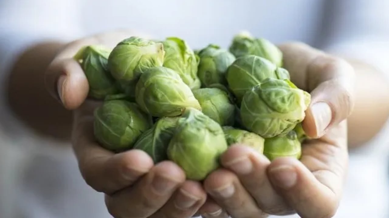 Foto - Doğanın gizli hazinesi: C vitaminiyle portakalı geride bırakıyor