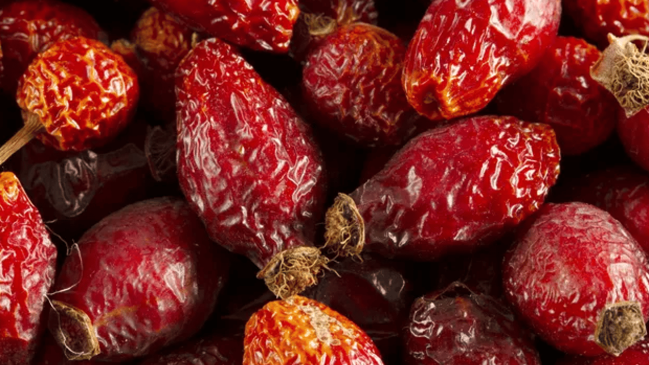 Foto - Doğanın gizli hazinesi: C vitaminiyle portakalı geride bırakıyor