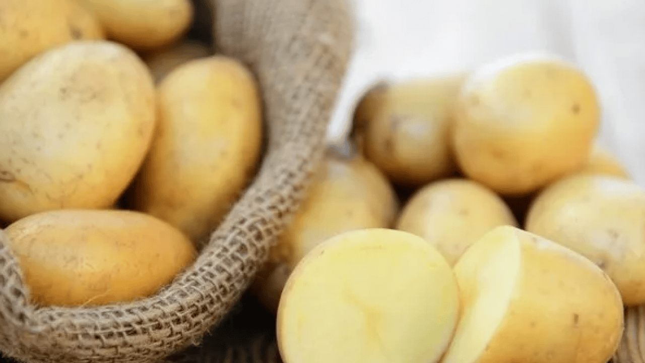 Foto - Doğanın gizli hazinesi: C vitaminiyle portakalı geride bırakıyor