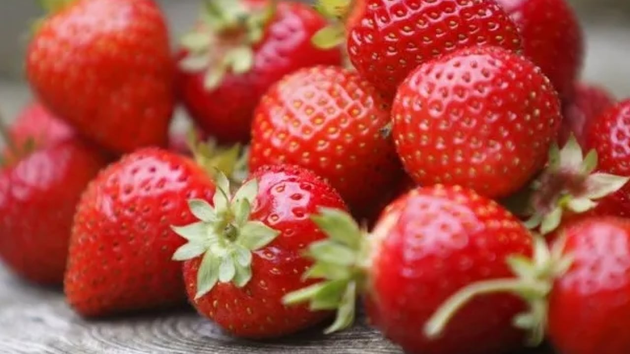 Foto - Doğanın gizli hazinesi: C vitaminiyle portakalı geride bırakıyor