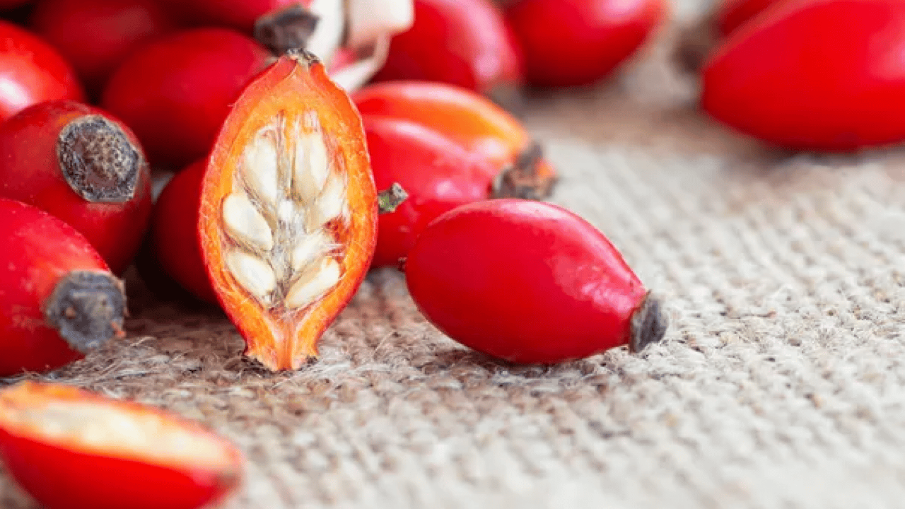Foto - Doğanın gizli hazinesi: C vitaminiyle portakalı geride bırakıyor