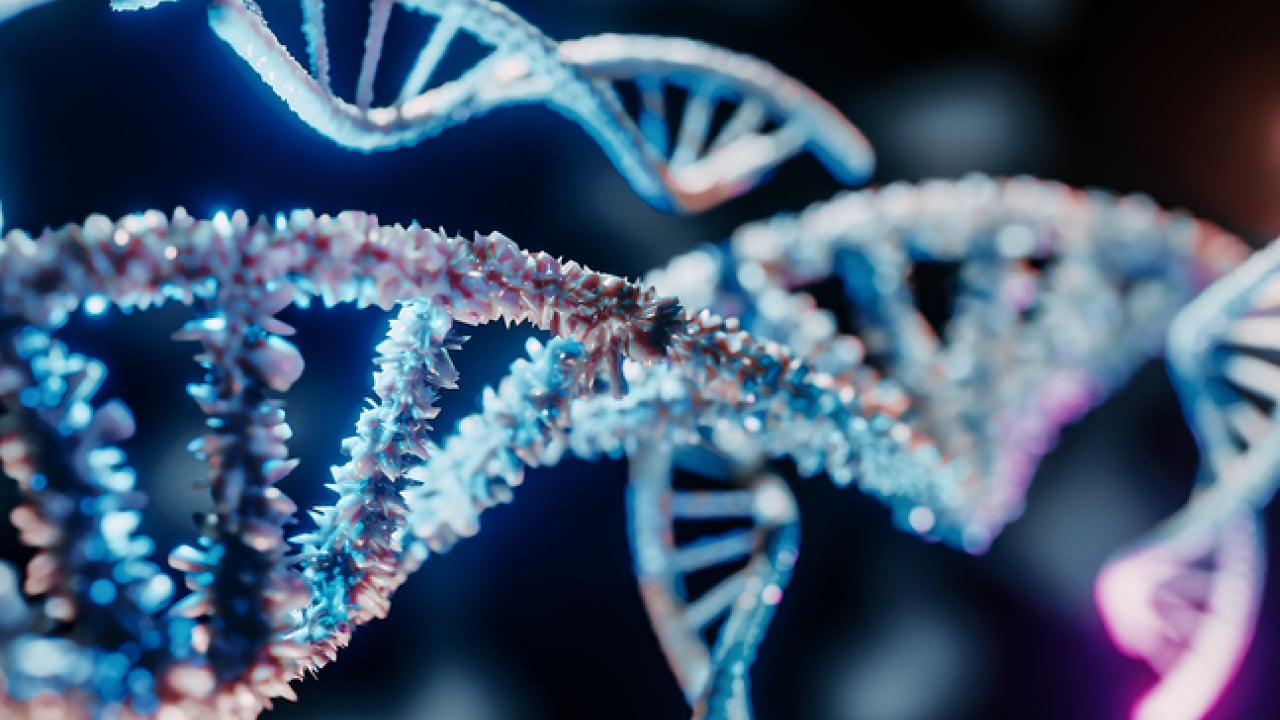 Foto - Doğanın ilginç sırrı: Memeliler neden mavi renkte doğmuyor?