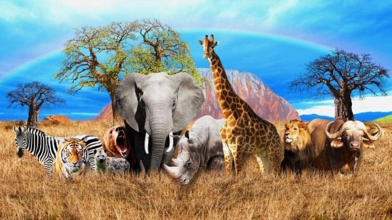 Doğanın ilginç sırrı: Memeliler neden mavi renkte doğmuyor?