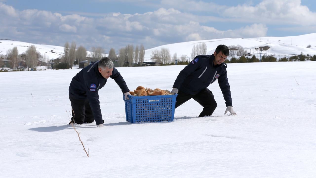 ‘Doğaya Şefkat Eli Projesi’ ile hem israfı önlüyorlar hem de yaban hayvanlarını besliyorlar