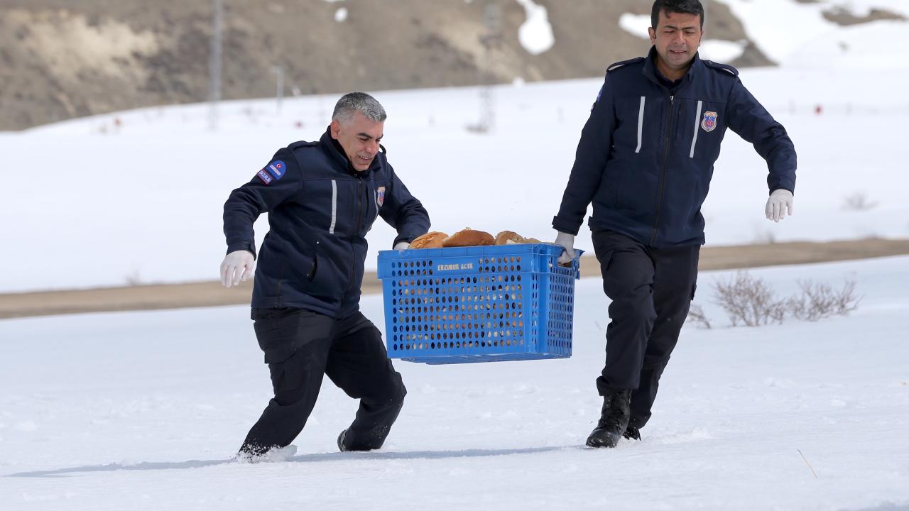 Foto - ‘Doğaya Şefkat Eli Projesi’ ile hem israfı önlüyorlar hem de yaban hayvanlarını besliyorlar
