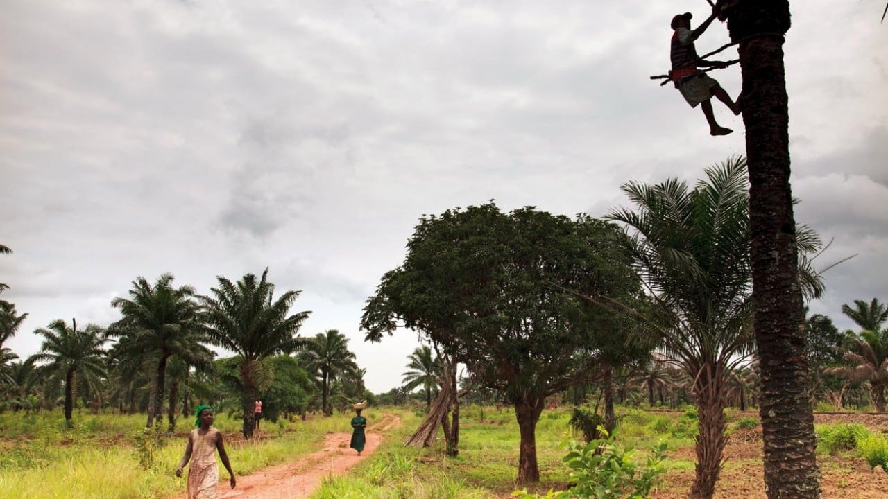 Foto - Doğayla en iyi kaynaşan ülke hangisi?