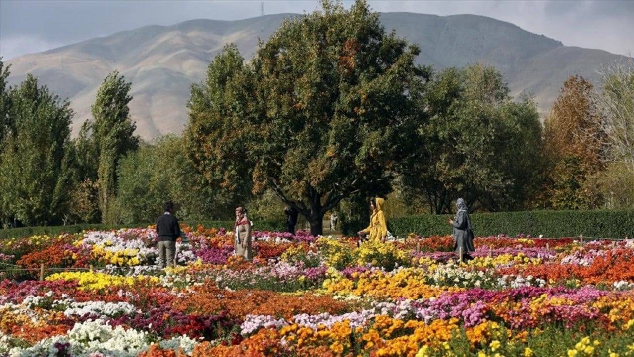 Foto - Doğayla en iyi kaynaşan ülke hangisi?