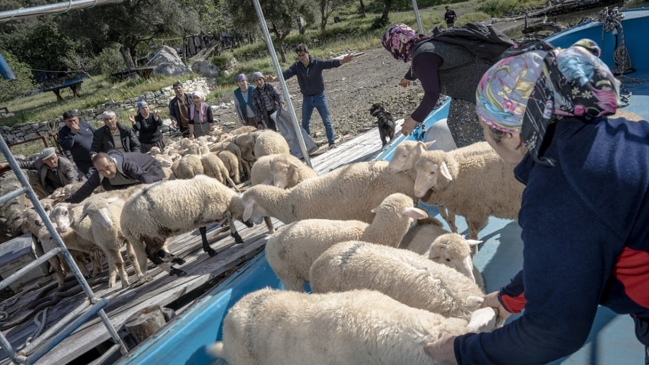 Foto - Doğayla iç içe altı ay yaşam Karada başlayıp denizde devam eden sıra dışı göç