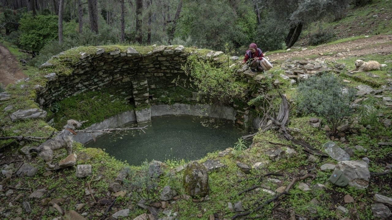 Foto - Doğayla iç içe altı ay yaşam Karada başlayıp denizde devam eden sıra dışı göç