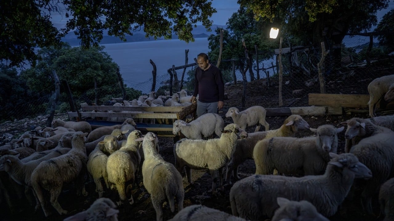 Foto - Doğayla iç içe altı ay yaşam Karada başlayıp denizde devam eden sıra dışı göç