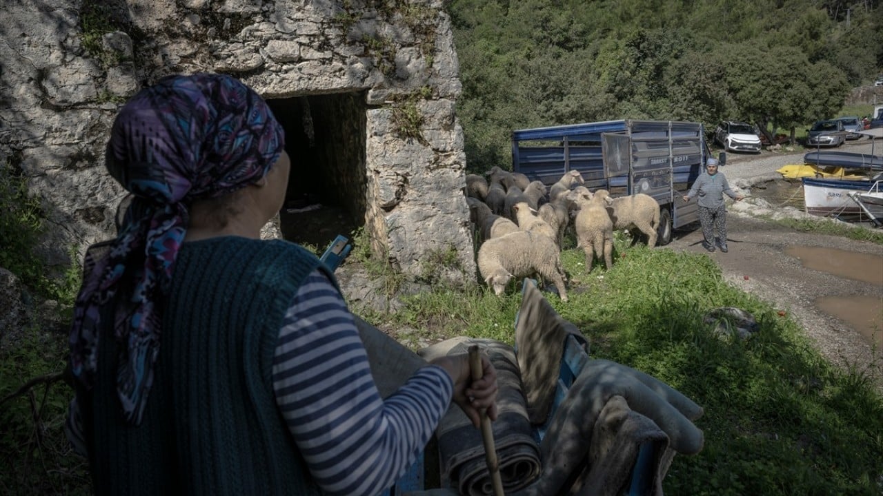 Foto - Doğayla iç içe altı ay yaşam Karada başlayıp denizde devam eden sıra dışı göç