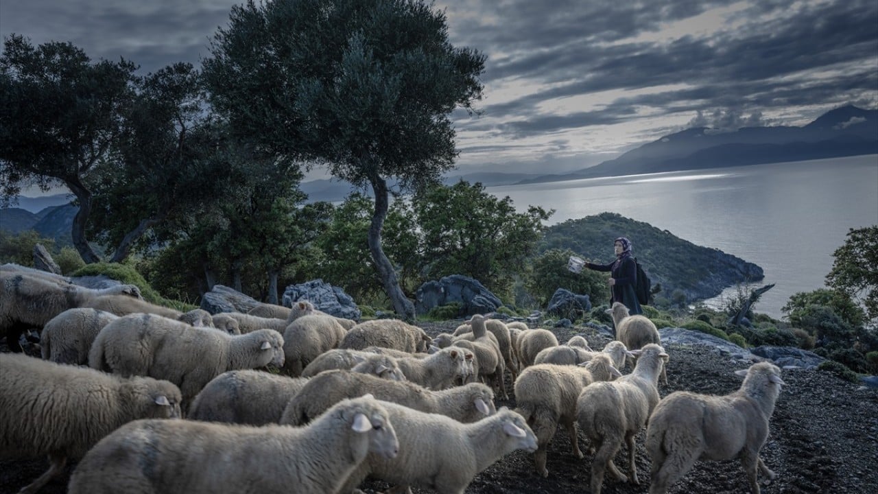 Foto - Doğayla iç içe altı ay yaşam Karada başlayıp denizde devam eden sıra dışı göç