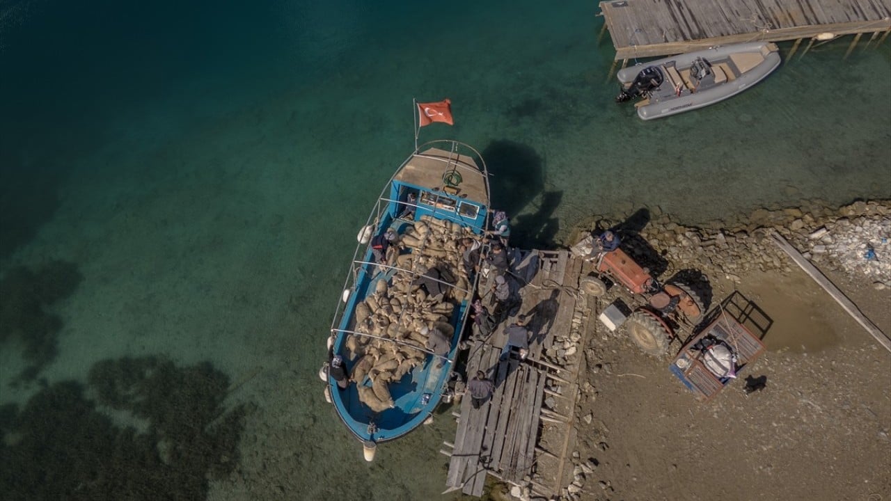 Foto - Doğayla iç içe altı ay yaşam Karada başlayıp denizde devam eden sıra dışı göç