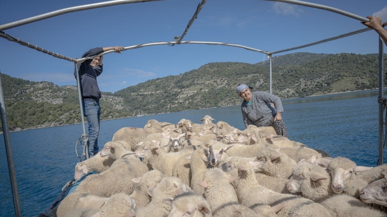 Foto - Doğayla iç içe altı ay yaşam Karada başlayıp denizde devam eden sıra dışı göç