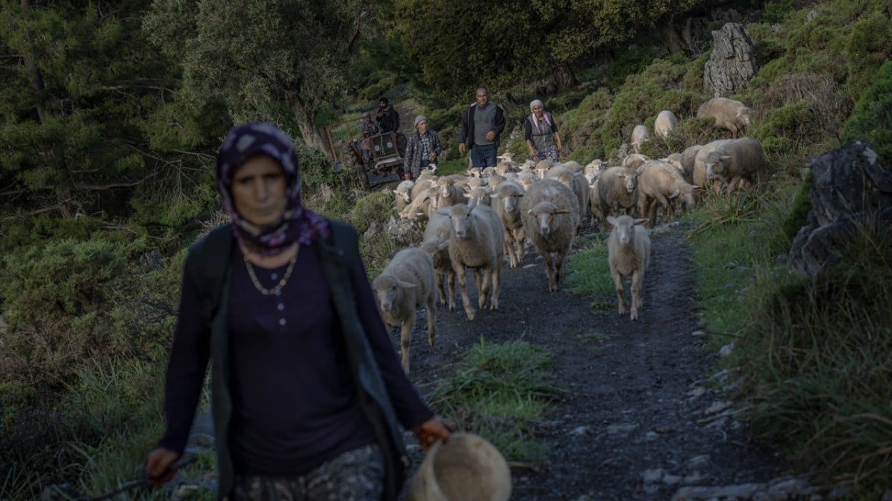 Foto - Doğayla iç içe altı ay yaşam Karada başlayıp denizde devam eden sıra dışı göç