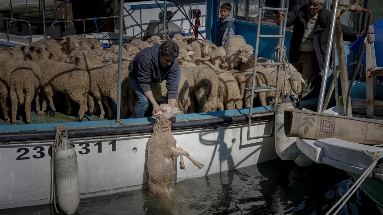 Foto - Doğayla iç içe altı ay yaşam Karada başlayıp denizde devam eden sıra dışı göç