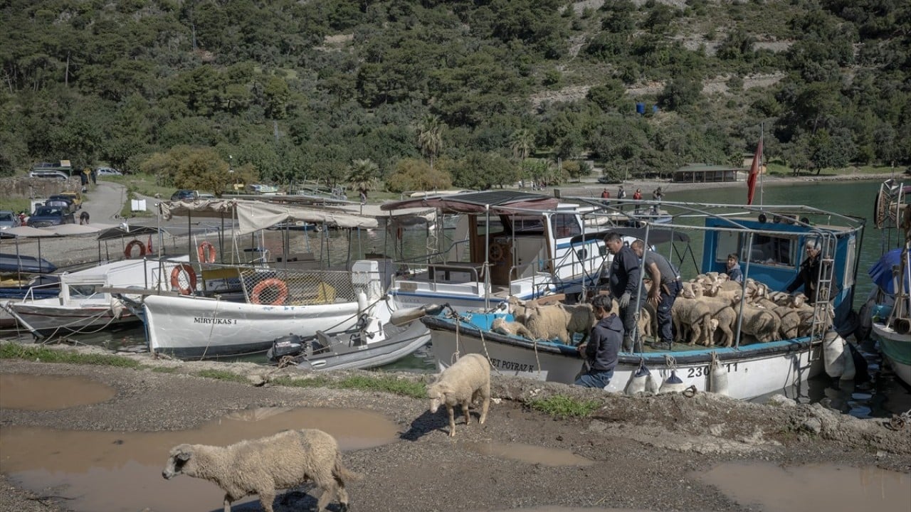Foto - Doğayla iç içe altı ay yaşam Karada başlayıp denizde devam eden sıra dışı göç