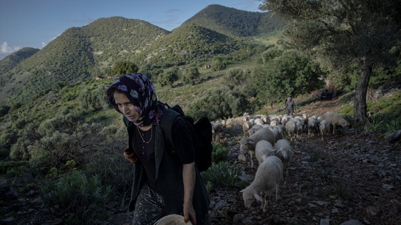 Foto - Doğayla iç içe altı ay yaşam Karada başlayıp denizde devam eden sıra dışı göç