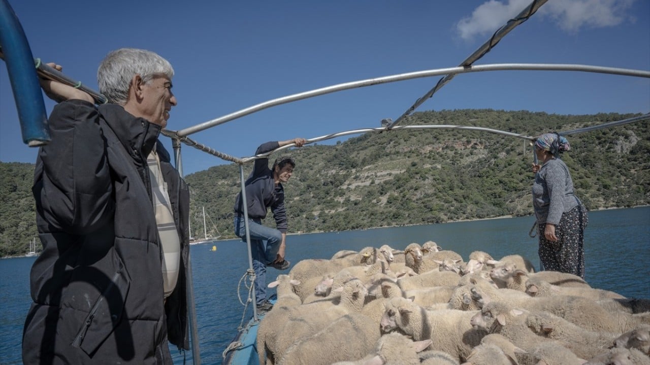 Foto - Doğayla iç içe altı ay yaşam Karada başlayıp denizde devam eden sıra dışı göç