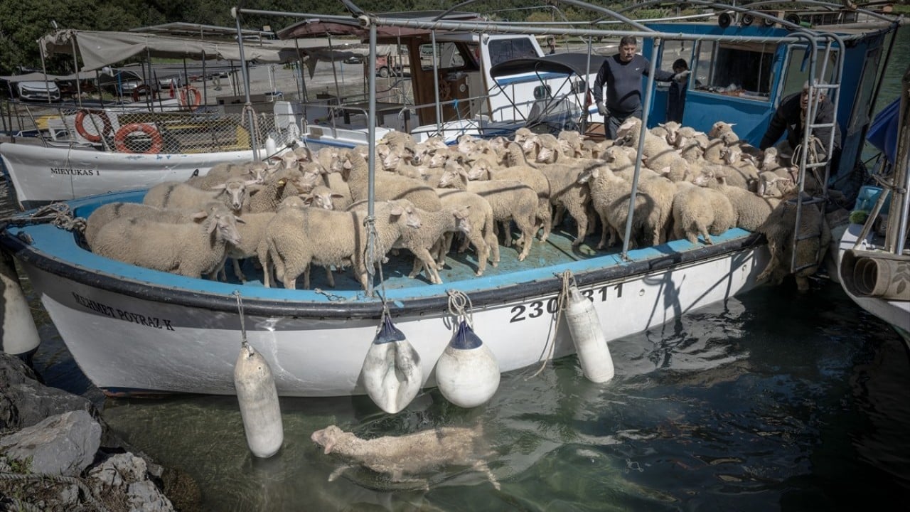 Foto - Doğayla iç içe altı ay yaşam Karada başlayıp denizde devam eden sıra dışı göç