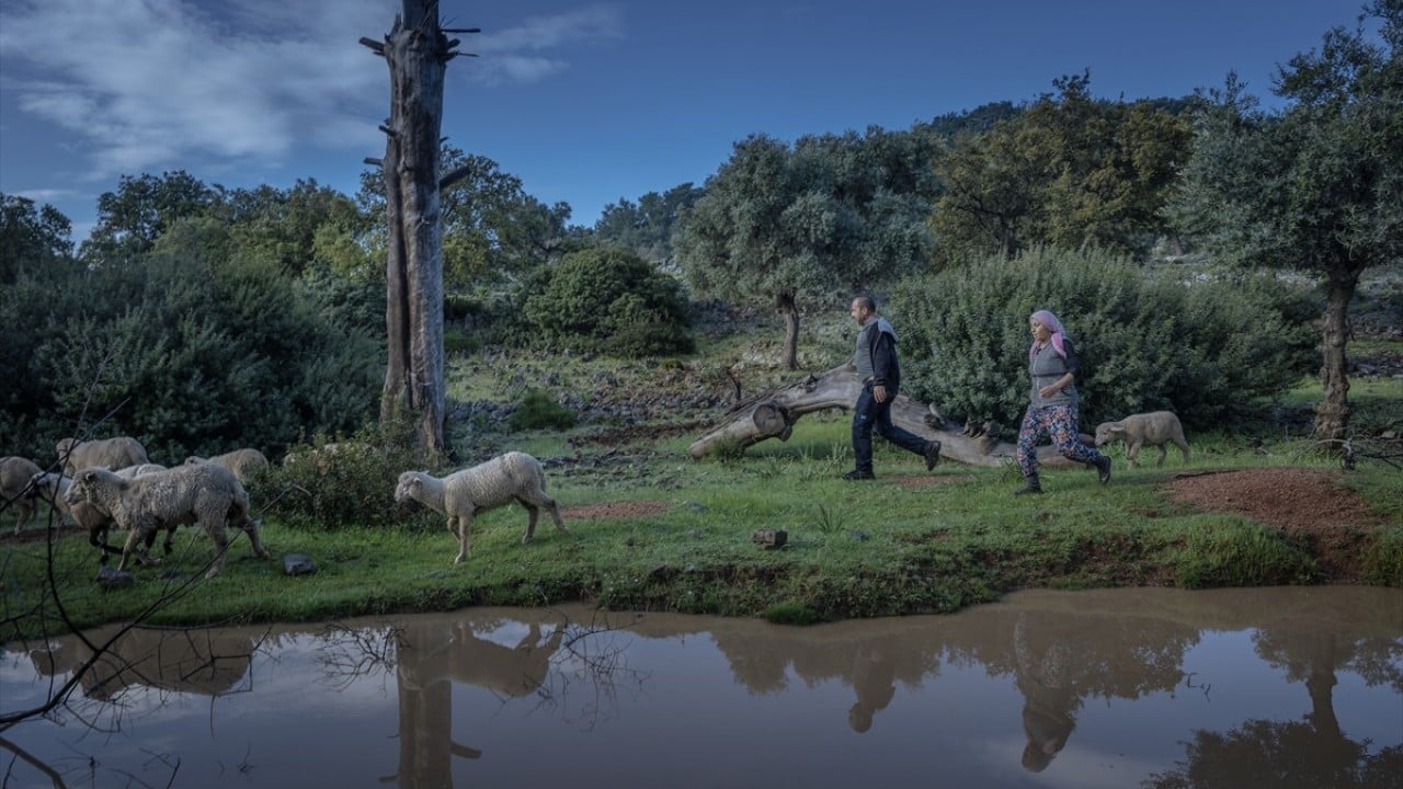 Foto - Doğayla iç içe altı ay yaşam Karada başlayıp denizde devam eden sıra dışı göç